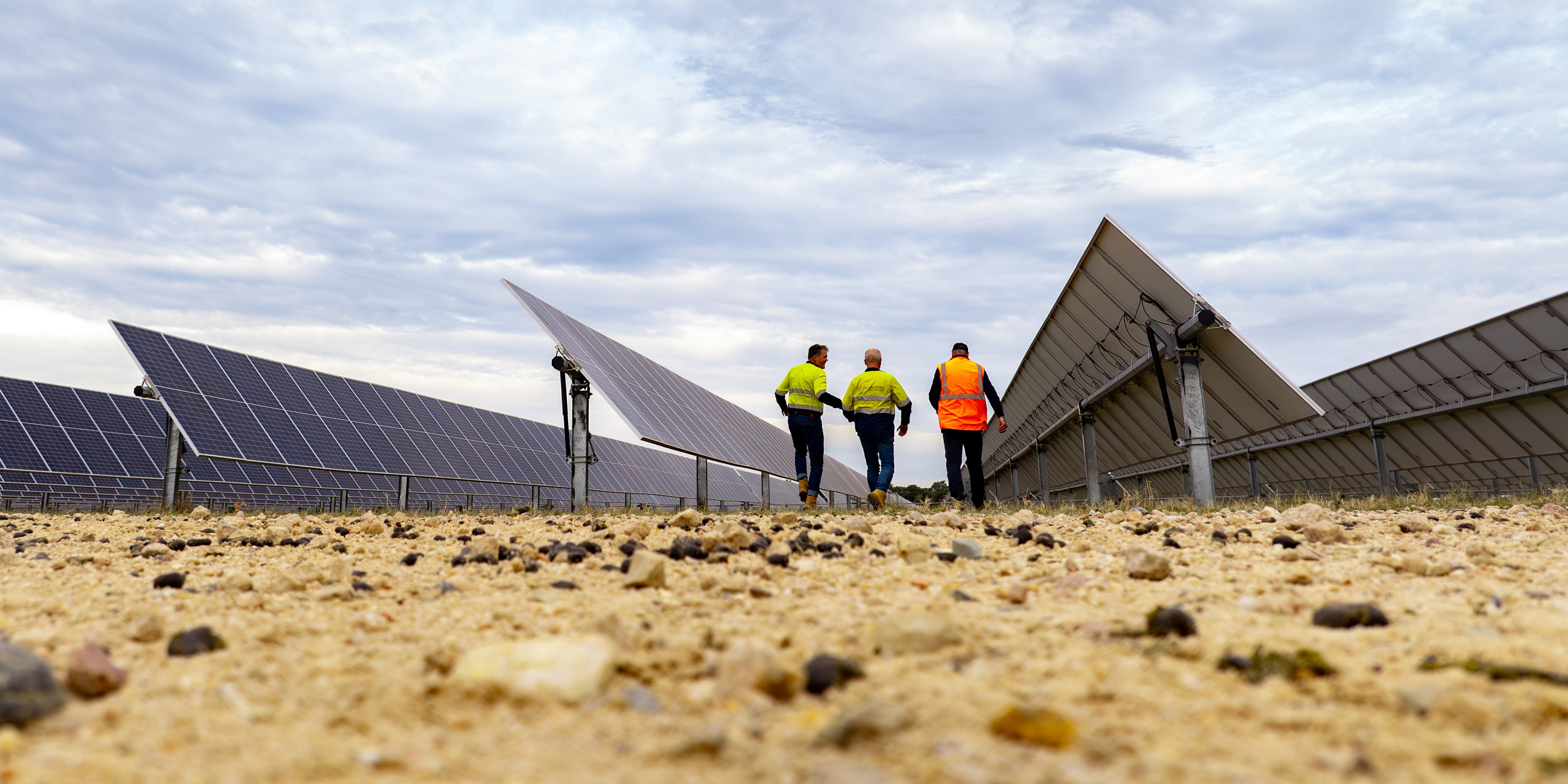 The backs of three workers walking through solar panels